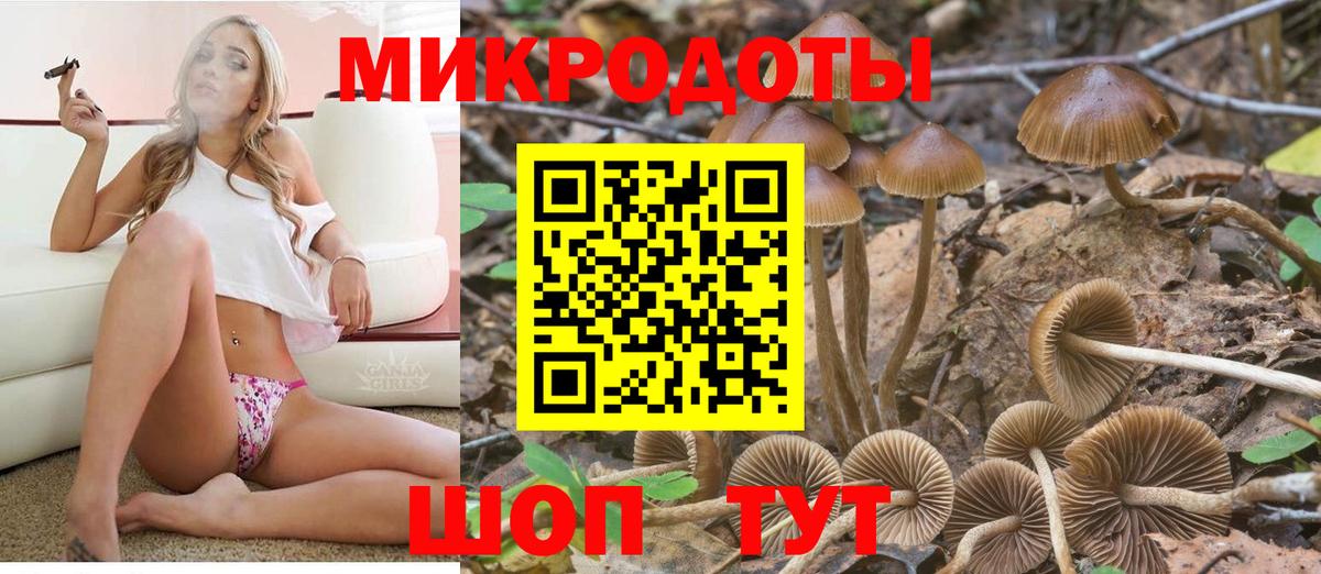Гусев  Галлюциногенные грибы Magic Shrooms  Вход с VPN 